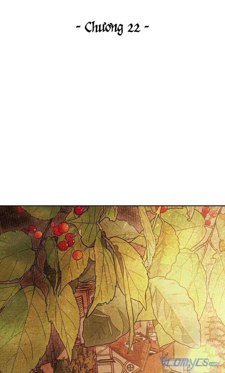 Lời Nói Dối Vĩnh Cửu Chapter 22 - 32