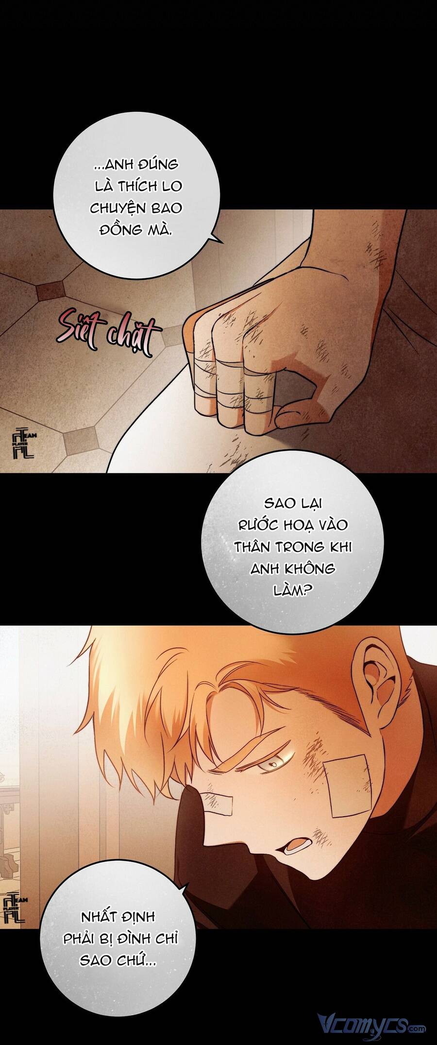 Lời Nói Dối Vĩnh Cửu Chapter 29 - 15