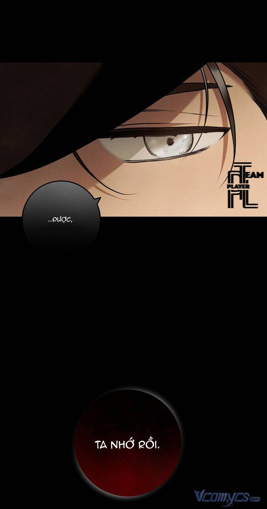Lời Nói Dối Vĩnh Cửu Chapter 30 - 19