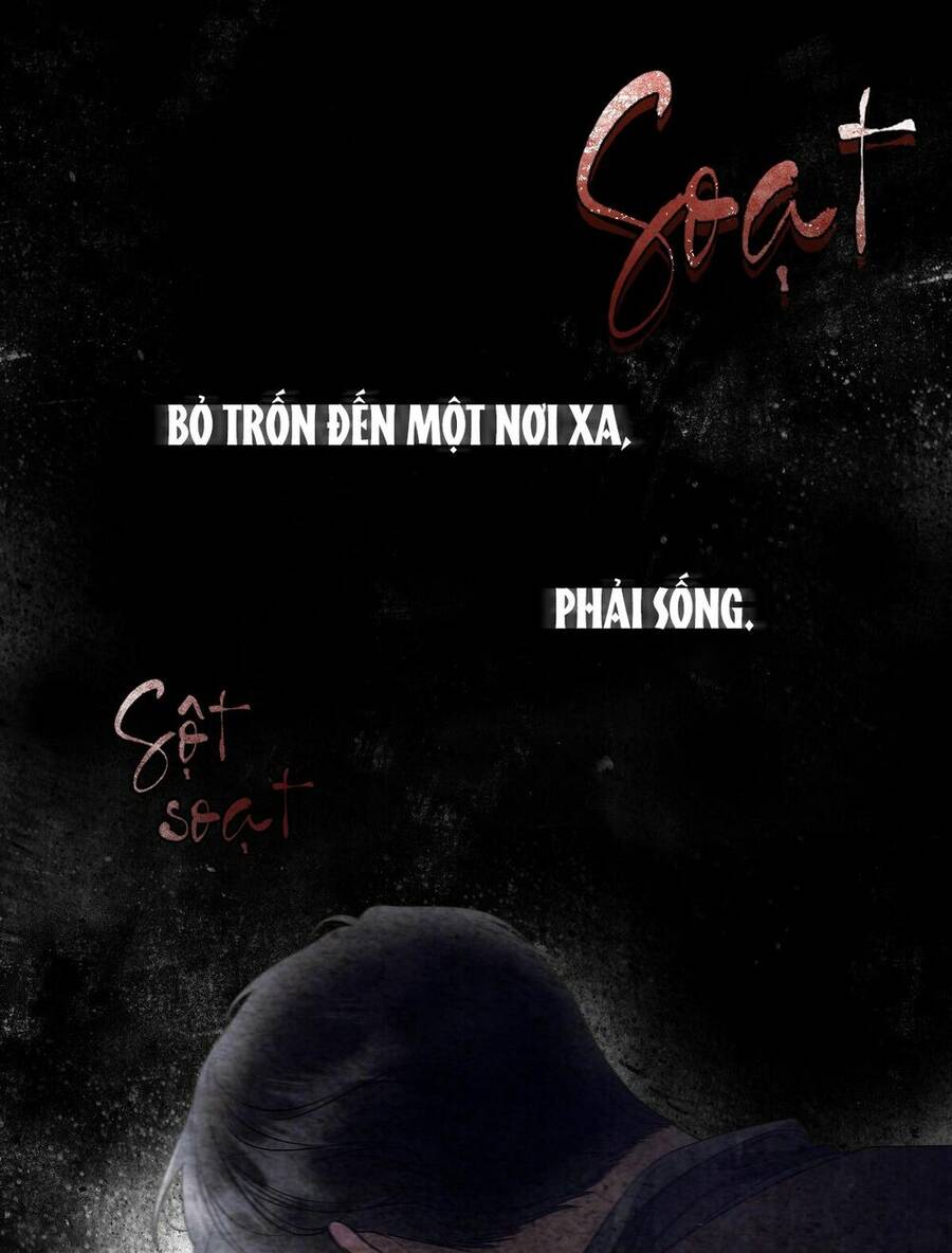 Lời Nói Dối Vĩnh Cửu Chapter 13 - 19