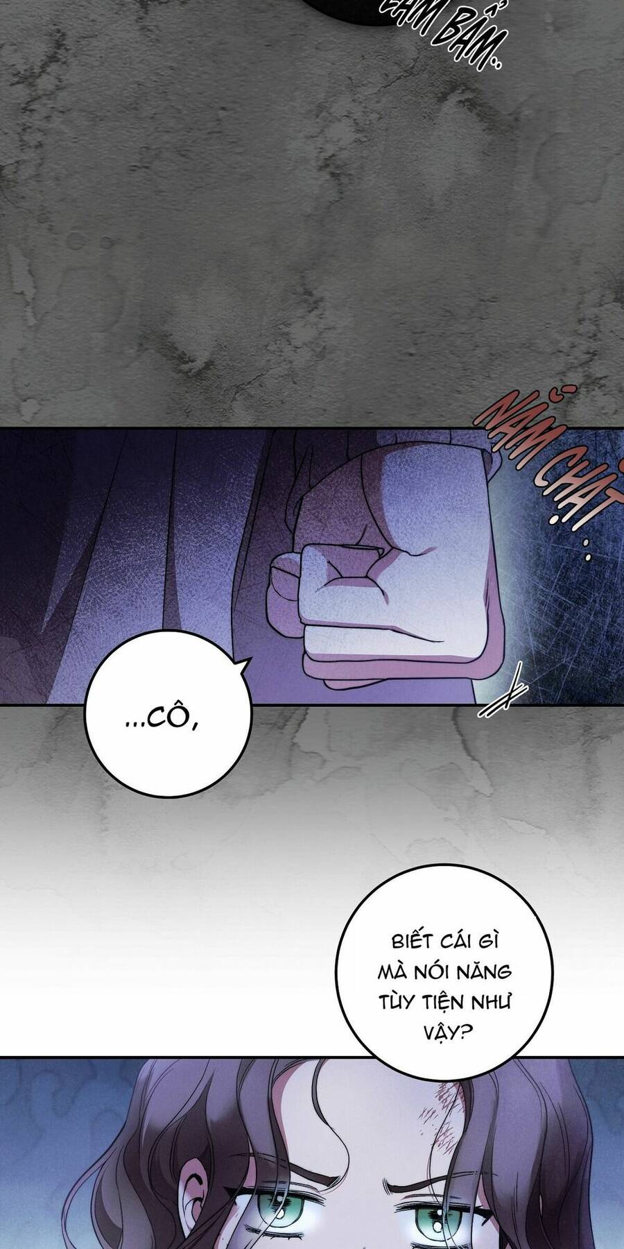 Lời Nói Dối Vĩnh Cửu Chapter 31 - 48