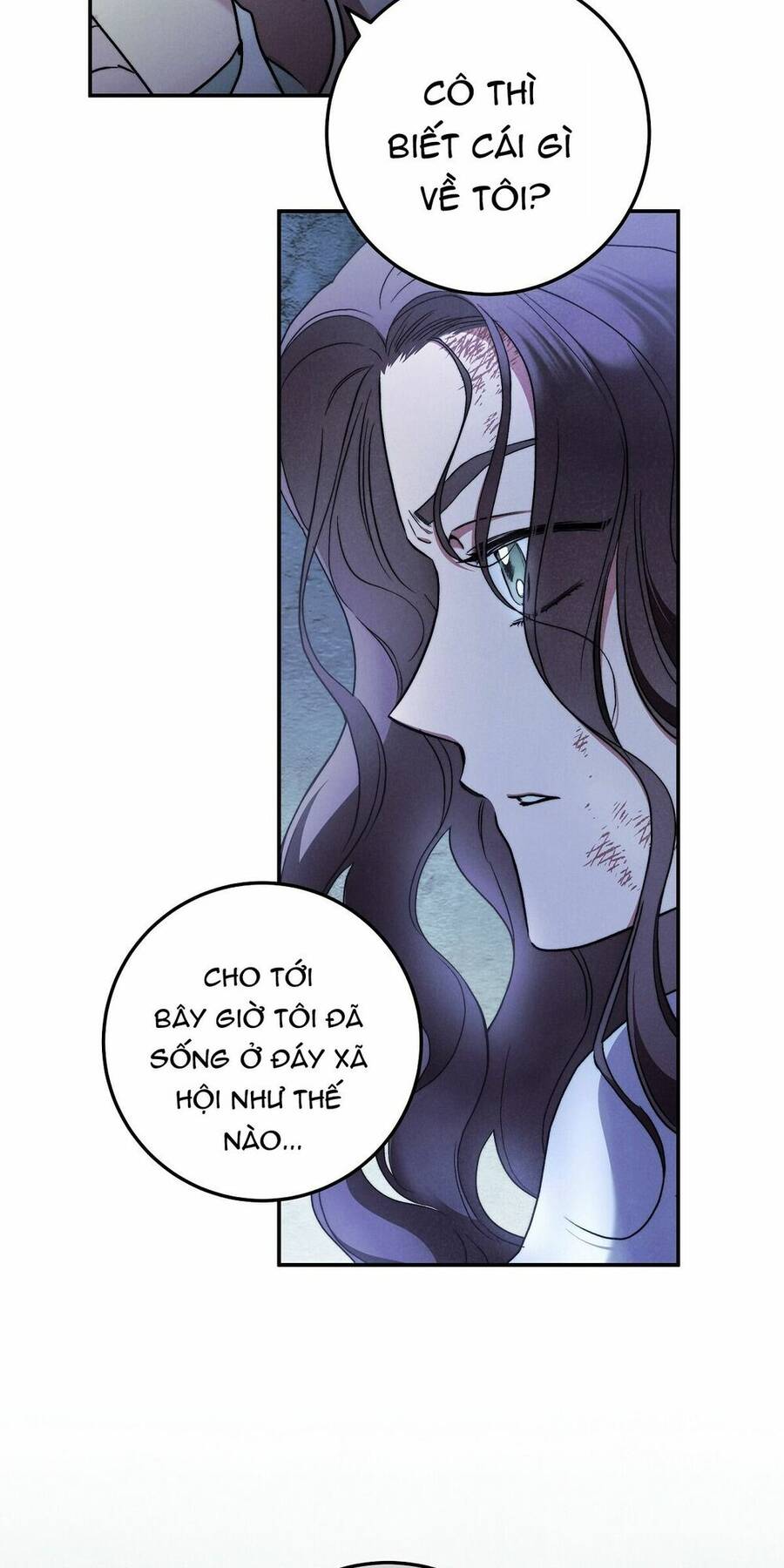 Lời Nói Dối Vĩnh Cửu Chapter 31 - 50