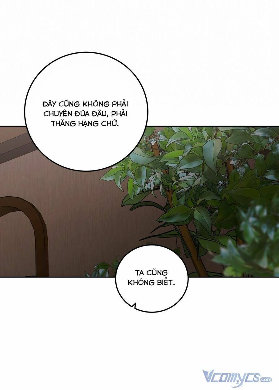 Lời Nói Dối Vĩnh Cửu Chapter 5 - 46