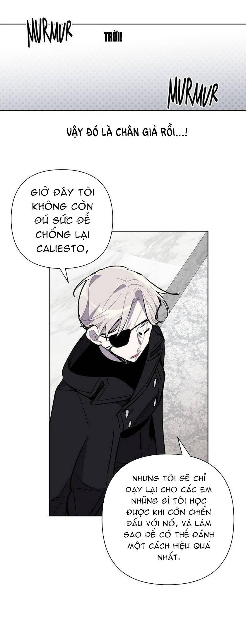 Cách Mà Pháp Sư Đối Mặt Với Cái Chết Chapter 28.1 - 8