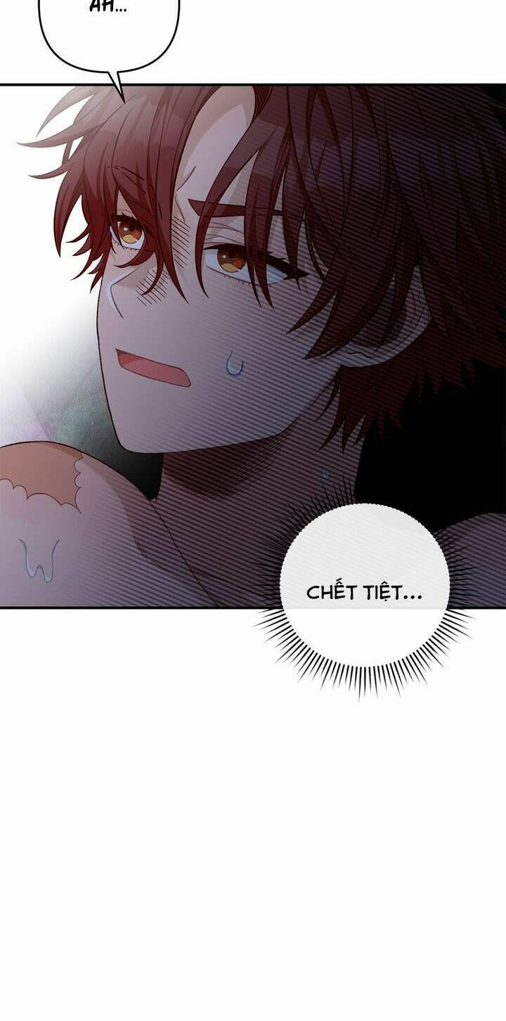 Aristité Được Ban Phước Một Lời Nguyền Chapter 3 - 15