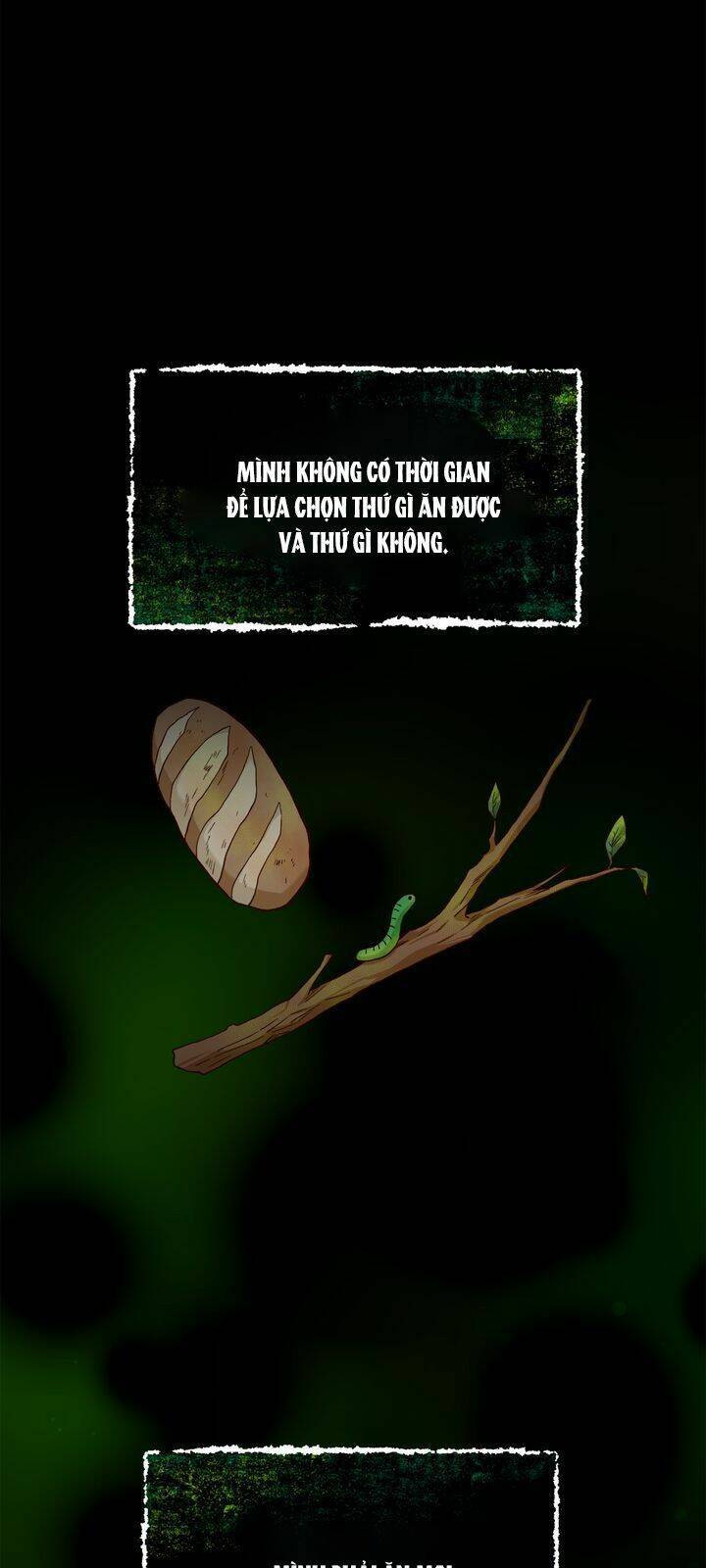 Aristité Được Ban Phước Một Lời Nguyền Chapter 4 - 52