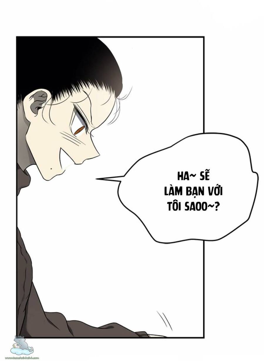 Cạm Bẫy Chapter 125 - 96