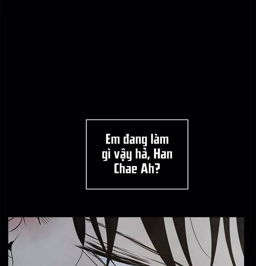 Cạm Bẫy Chapter 131 - 96