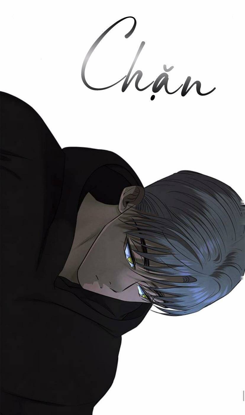 Cạm Bẫy Chapter 137 - 85