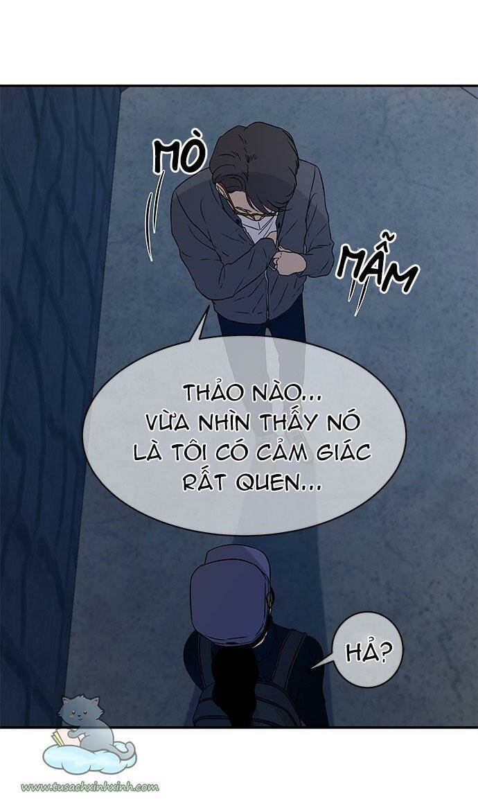 Cạm Bẫy Chapter 27 - 34