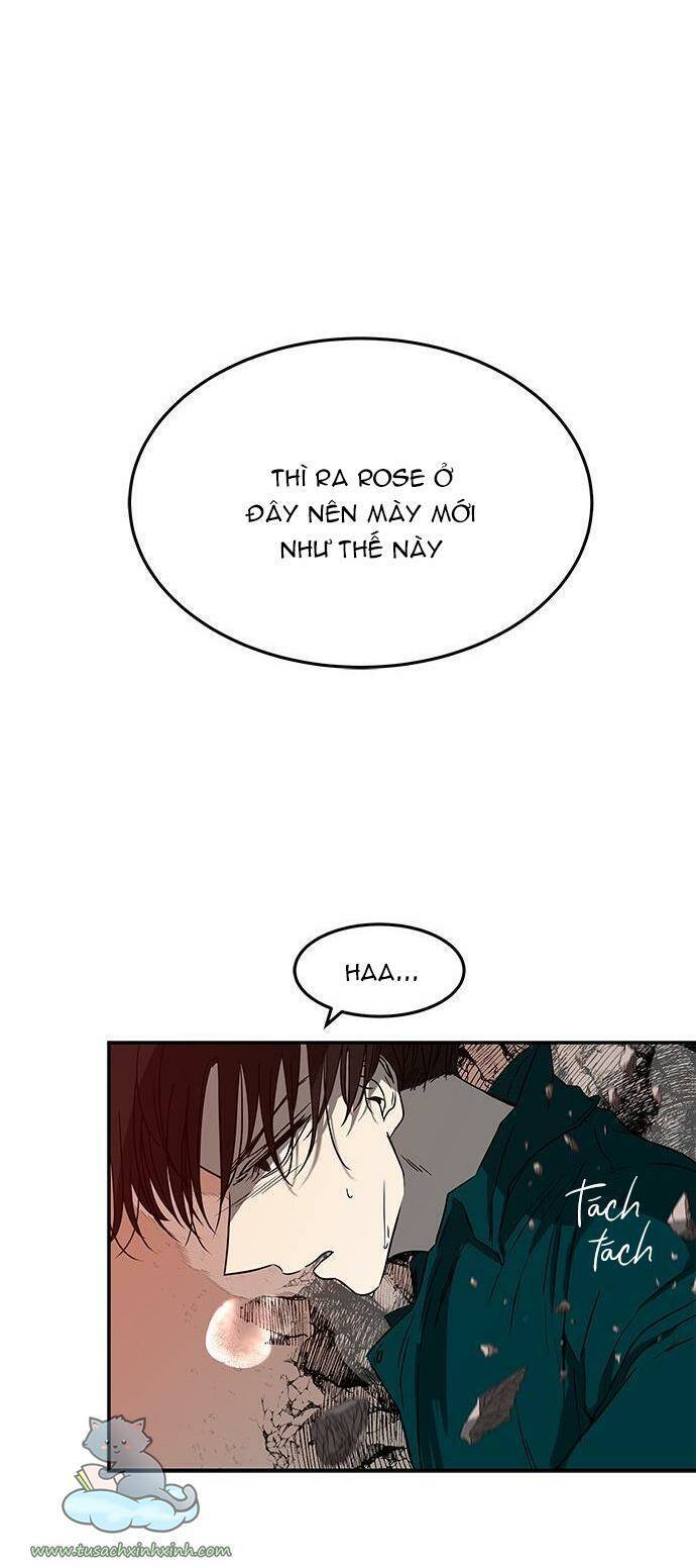 Cạm Bẫy Chapter 70 - 29