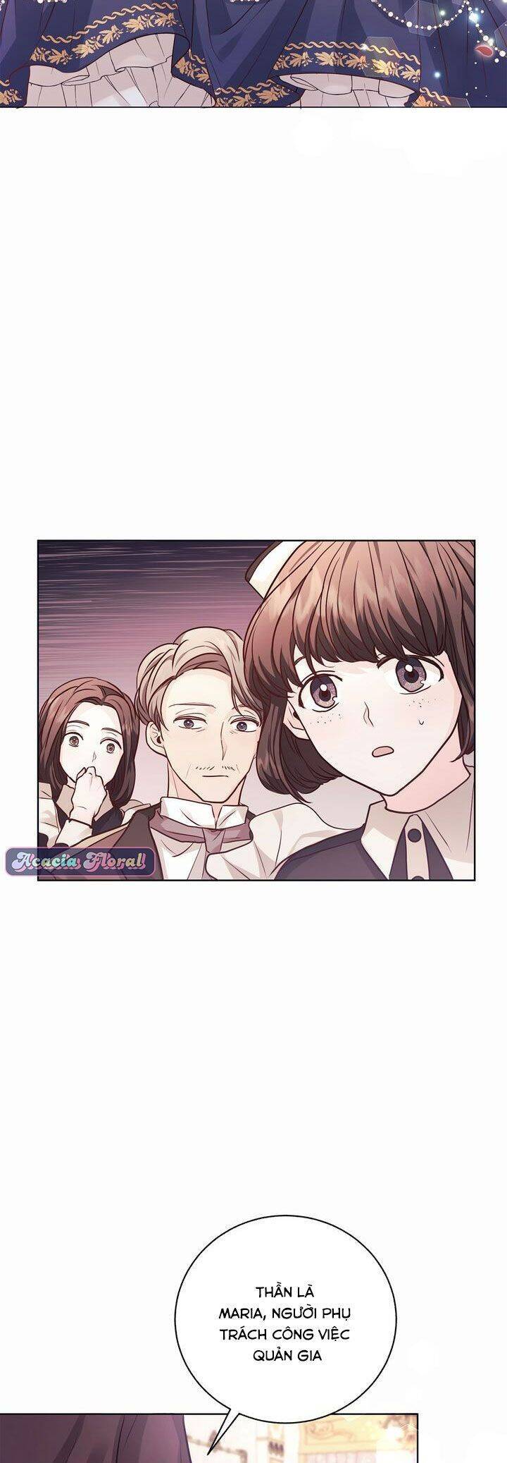 Nàng Dâu Bí Ẩn Của Bạch Sư Tử Chapter 3 - 36
