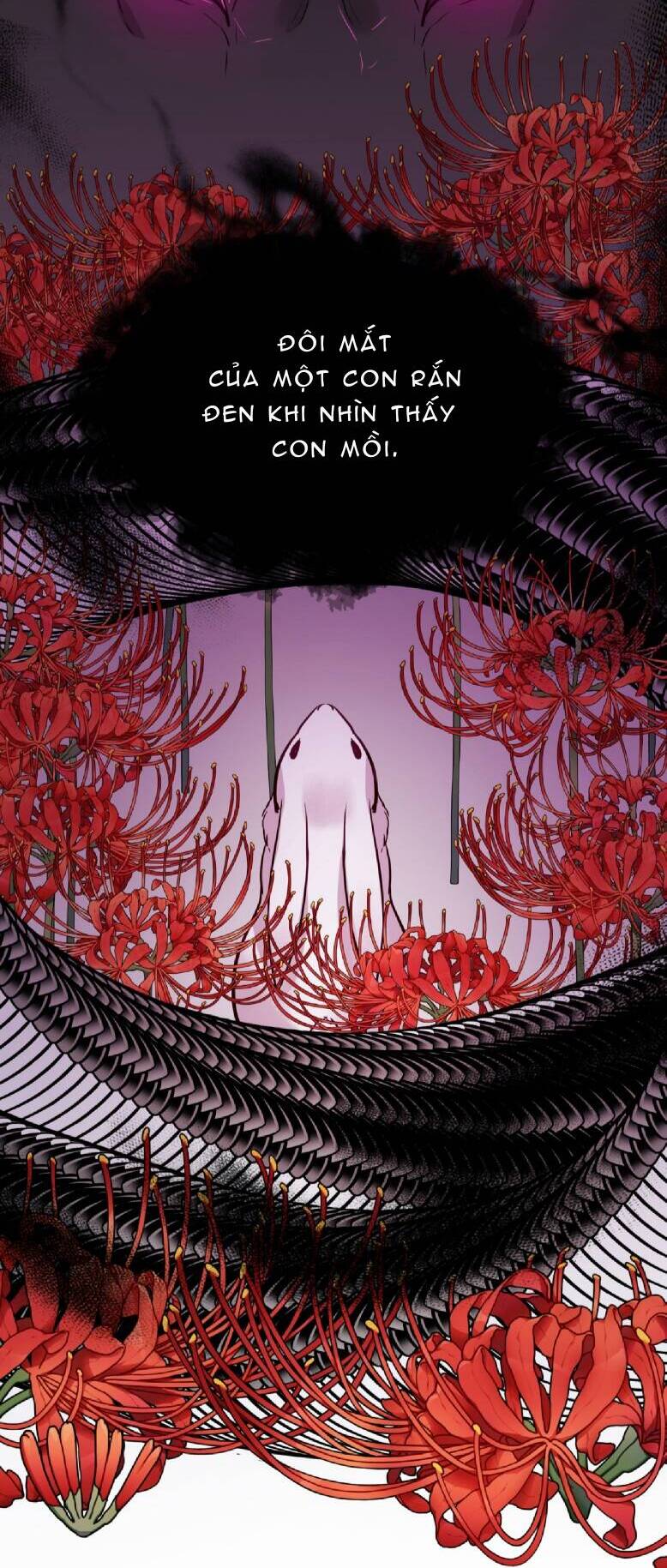 Bảo Vật Của Công Chúa Chapter 46 - 29