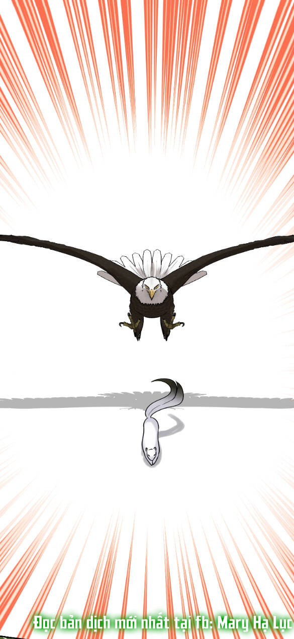 Bảo Vật Của Công Chúa Chapter 54.2 - 4