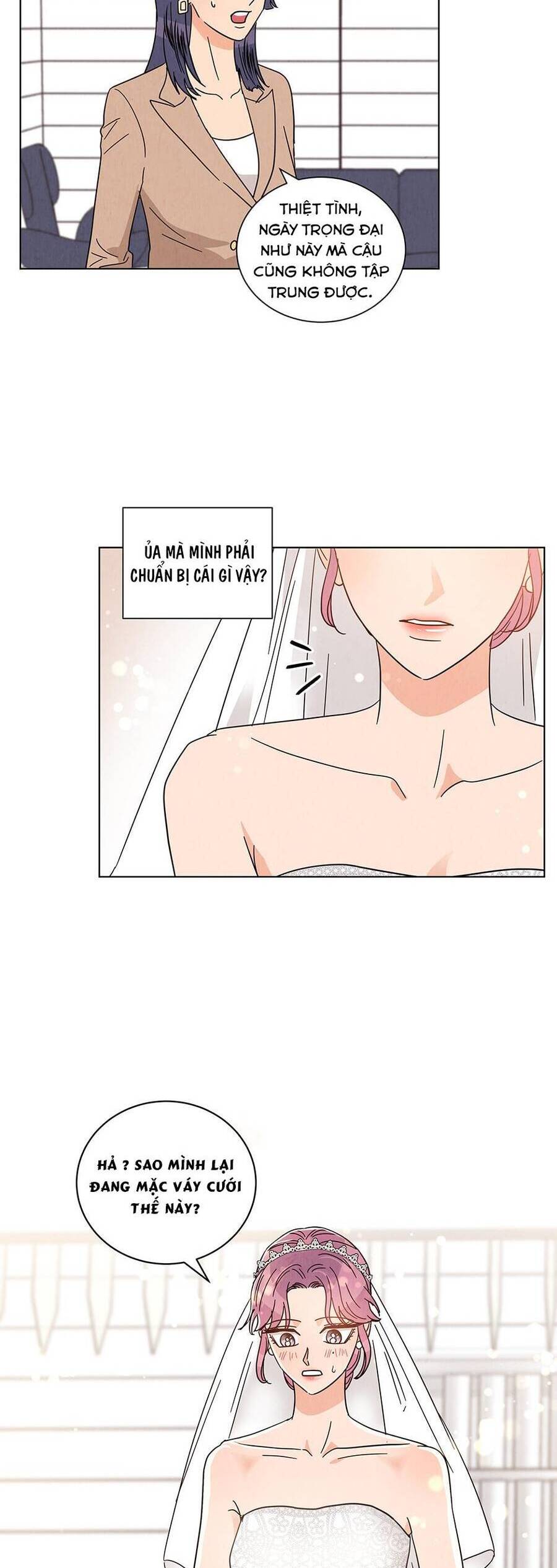 Chào Nhé, Không Làm Thông Gia Nữa Đâu! Chapter 28 - 12