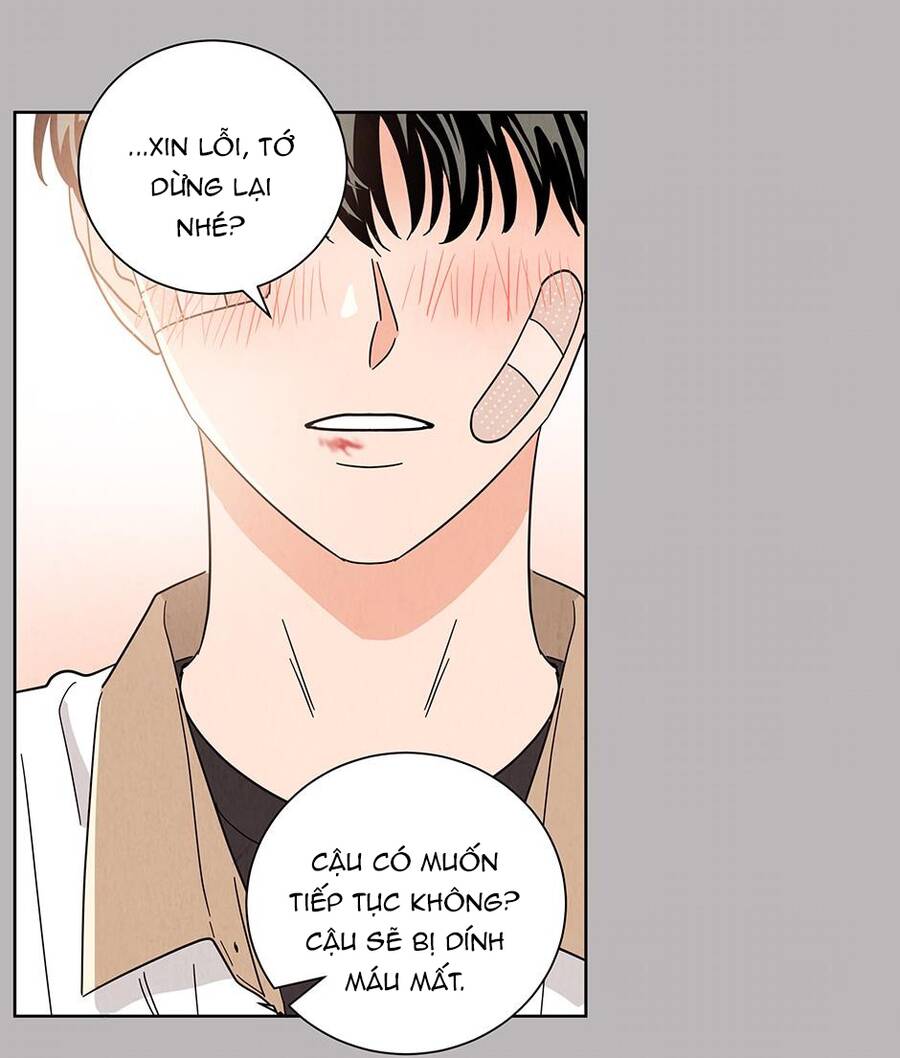 Chào Nhé, Không Làm Thông Gia Nữa Đâu! Chapter 51 - 84