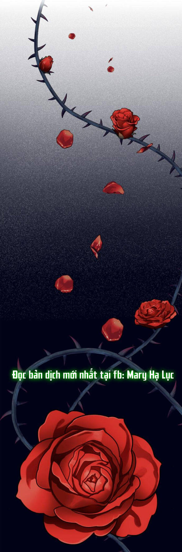 Mong Chờ Giây Phút Thiêng Liêng Được Chạm Tới Người Chapter 25.2 - 4