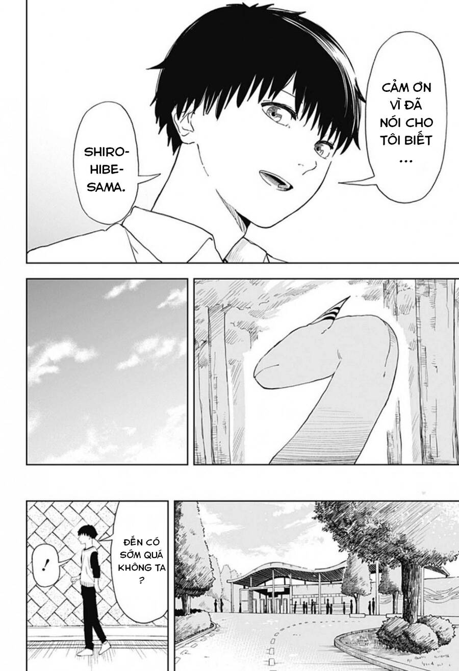 Stage S Chapter 1.1 - 19