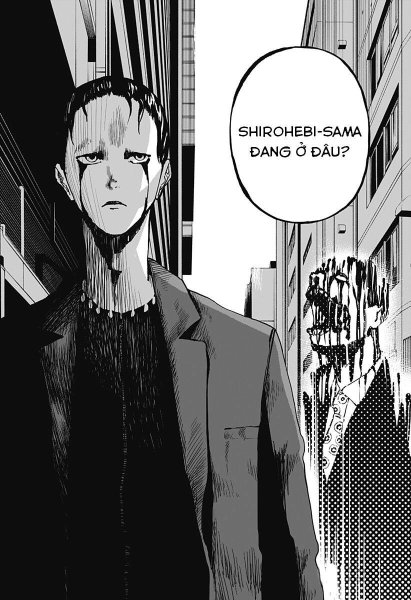 Stage S Chapter 9 - 16