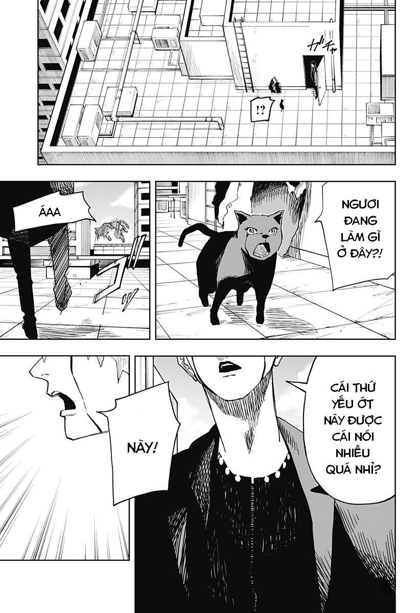 Stage S Chapter 9 - 19