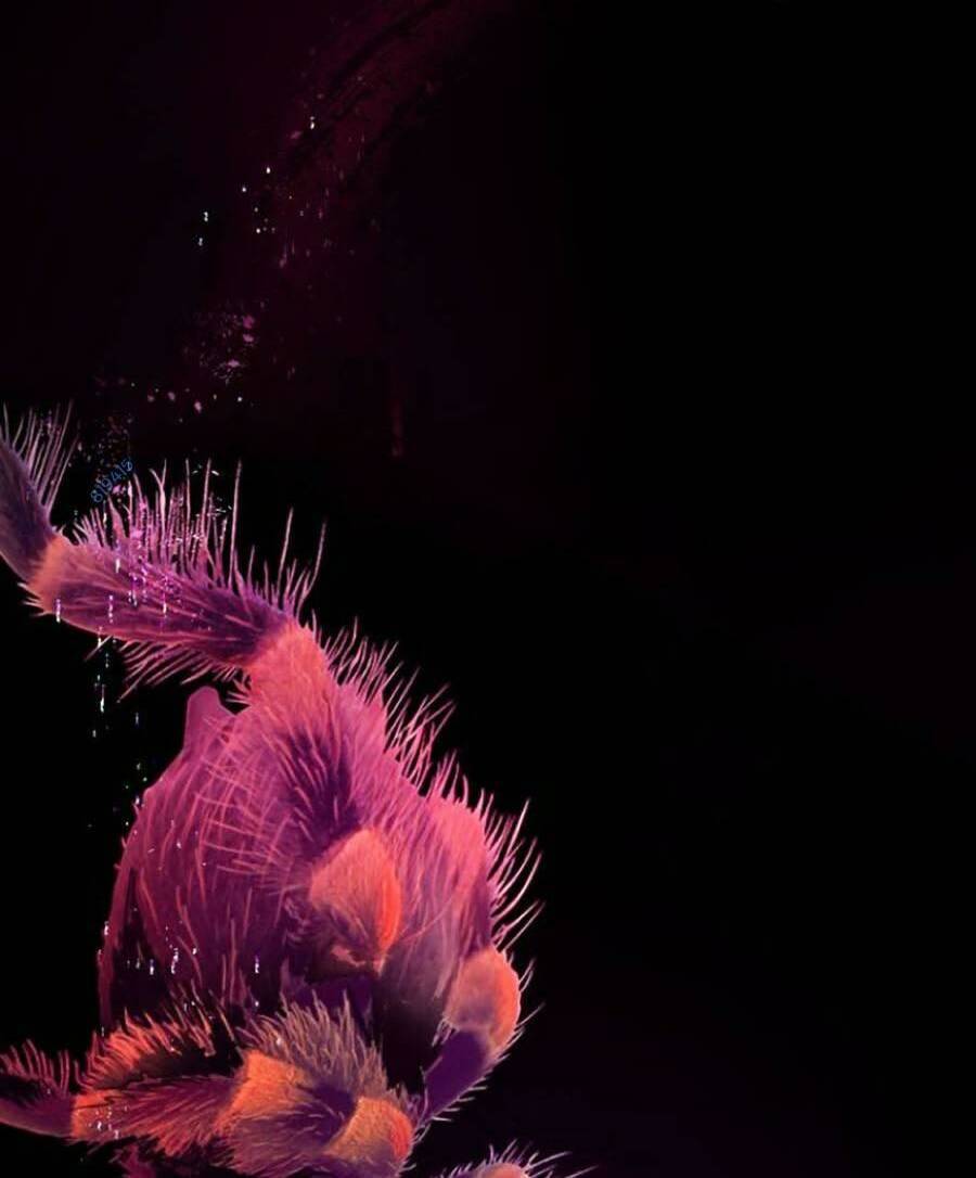 Xây Dựng Địa Ngục Chapter 5 - 118