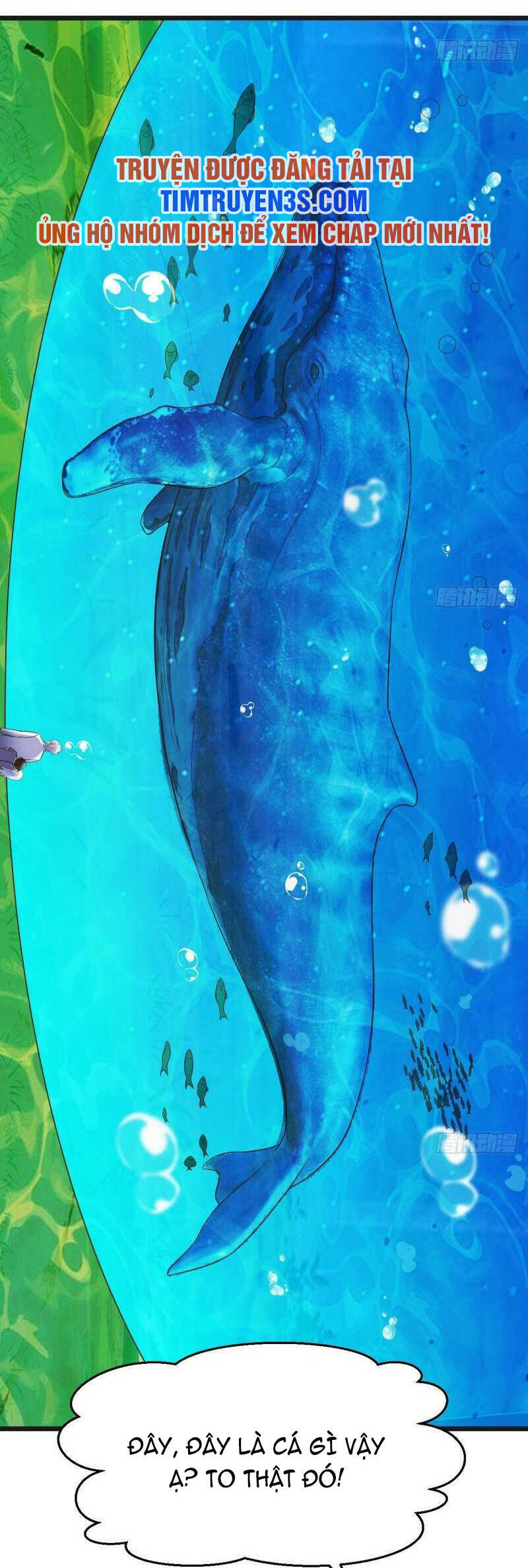 Trước Khi Vô Địch Ta Nợ Tình Quá Nhiều Chapter 59 - 10