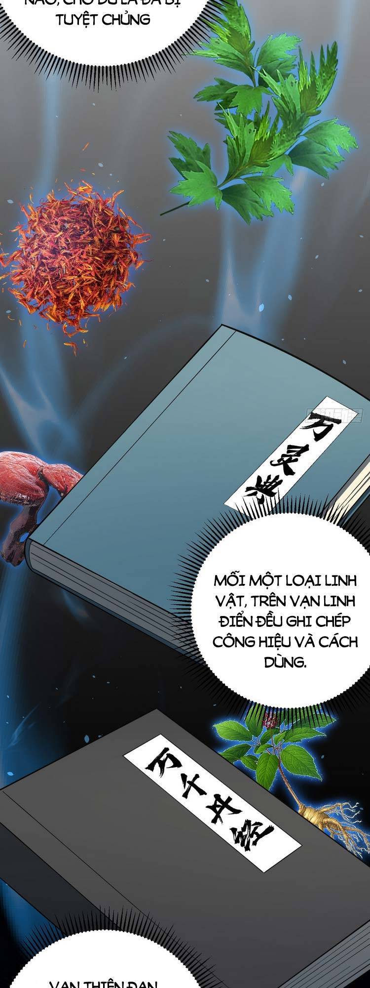 Ta Ở Nhà 100 Năm Khi Ra Ngoài Đã Vô Địch Chapter 30 - 26