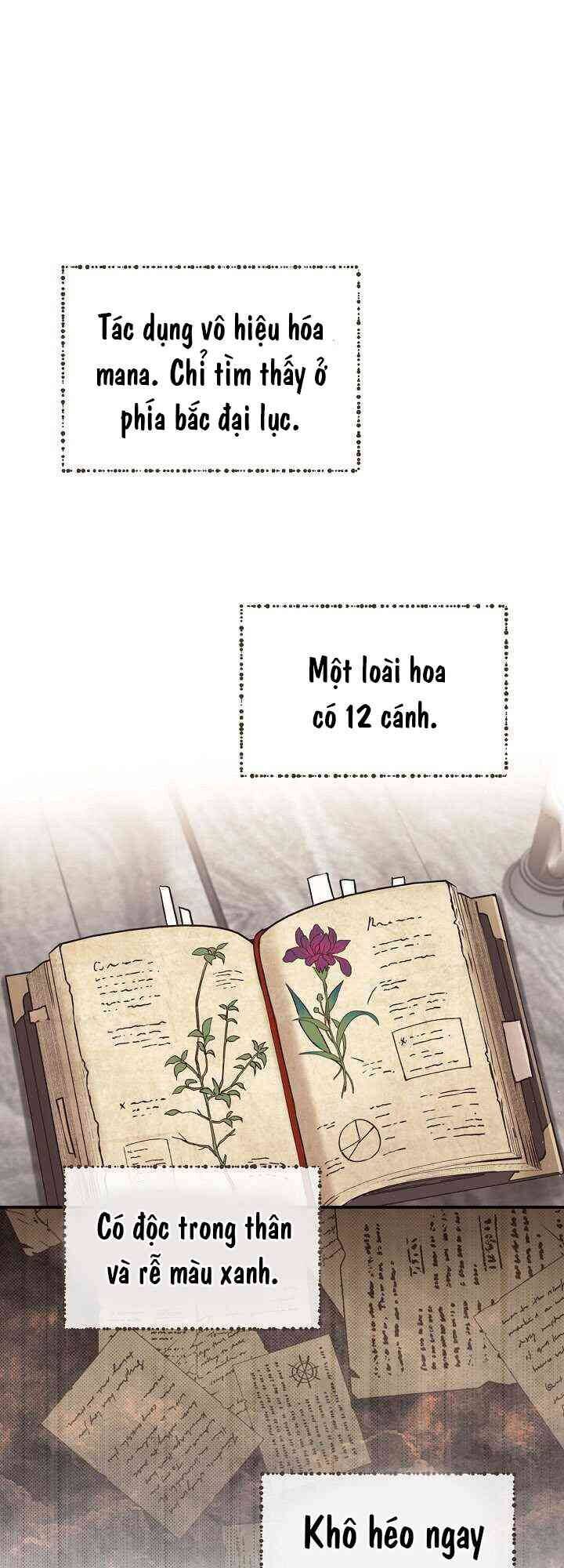 Sự Trở Lại Của Pháp Sư Cấp 8 Chapter 8 - 25