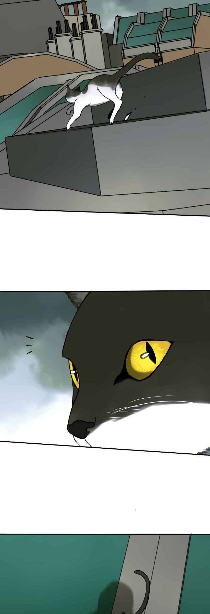 Thợ Săn Top 1 Trở Lại Chapter 14 - 3