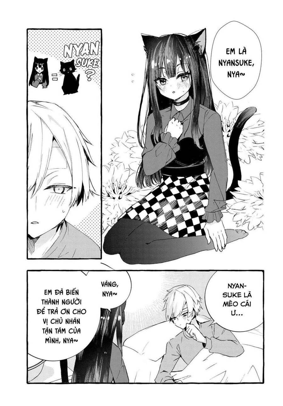 Chiteki De Cool Na Kouhai Bijo, Ore No Kai Neko Ni Naru Chapter 1 - 8