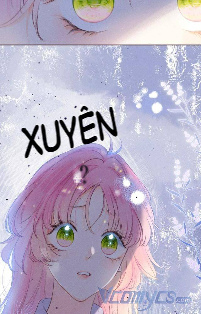 Sự Gai Góc Dịu Dàng Chapter 2 - 2