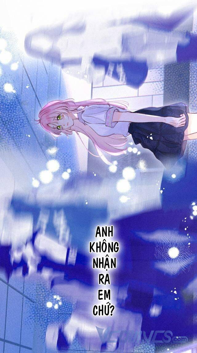 Sự Gai Góc Dịu Dàng Chapter 2 - 4