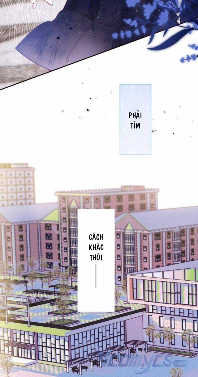 Sự Gai Góc Dịu Dàng Chapter 2 - 34