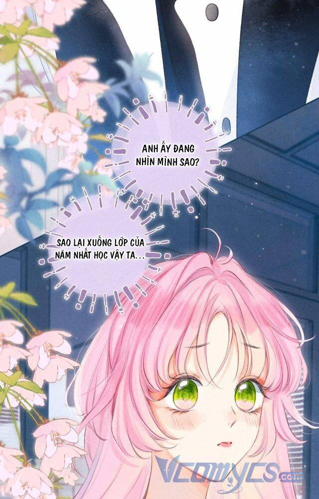 Sự Gai Góc Dịu Dàng Chapter 2 - 39