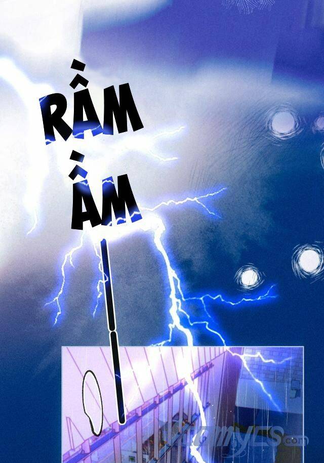 Sự Gai Góc Dịu Dàng Chapter 2 - 6