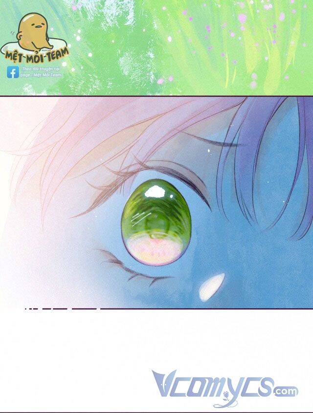 Sự Gai Góc Dịu Dàng Chapter 6 - 13