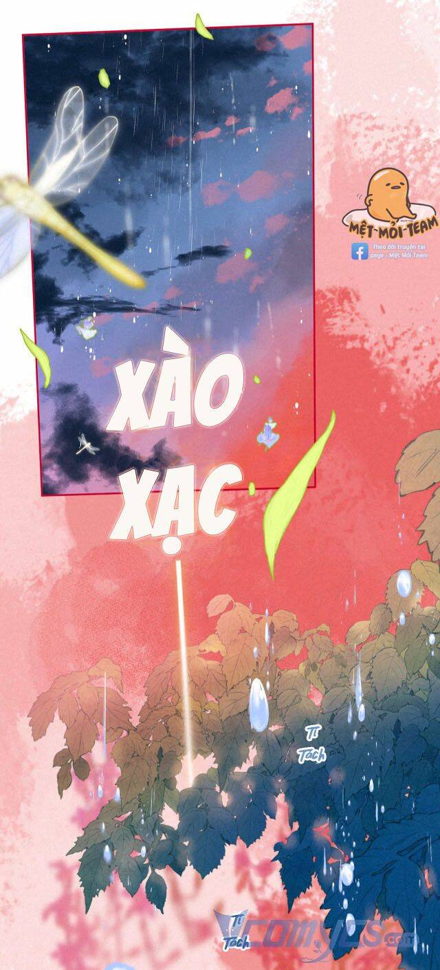 Sự Gai Góc Dịu Dàng Chapter 6 - 42