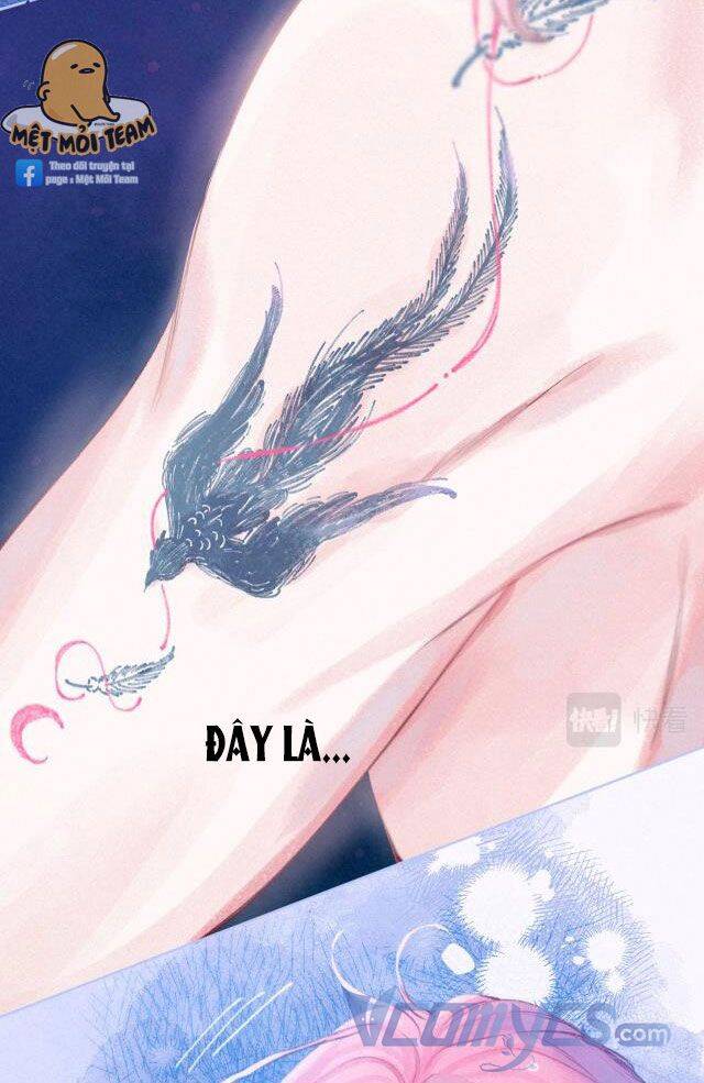 Sự Gai Góc Dịu Dàng Chapter 7 - 56