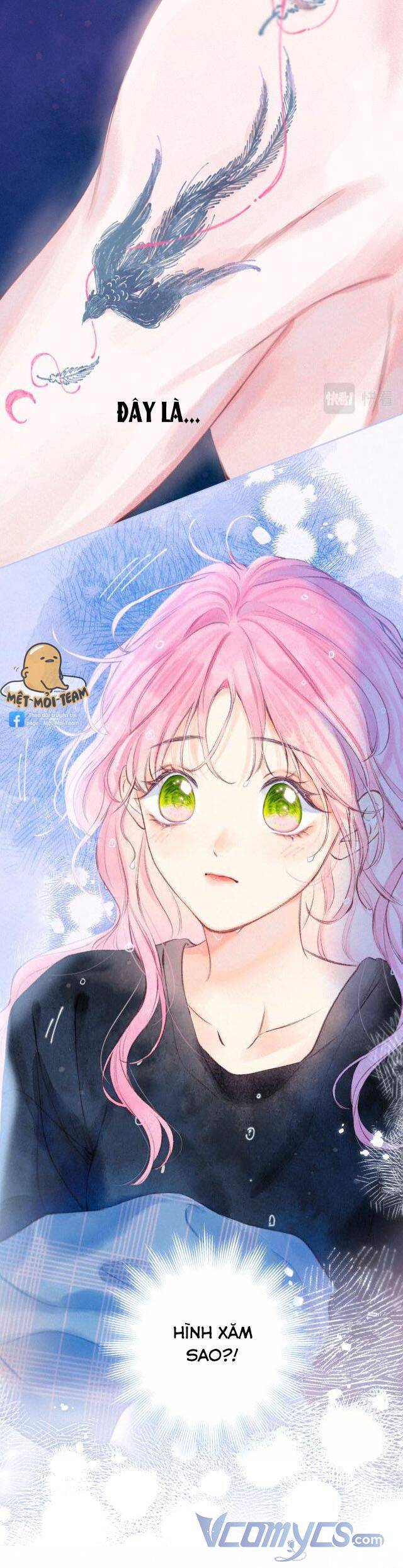 Sự Gai Góc Dịu Dàng Chapter 8 - 1