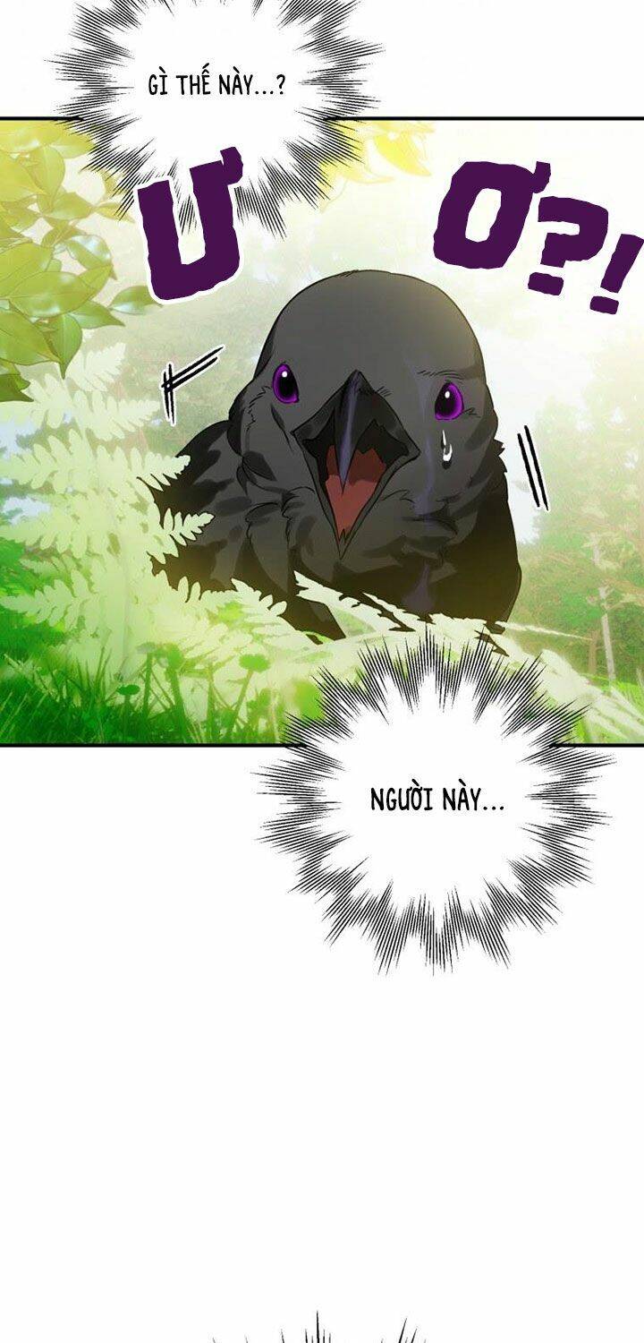 Bỗng Nhiên Tôi Trở Thành Quạ Đen!! Chapter 1 - 66