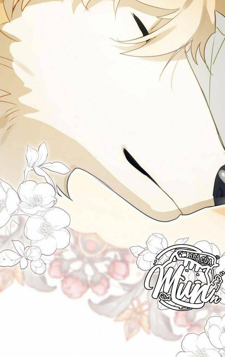 Bỗng Nhiên Tôi Trở Thành Quạ Đen!! Chapter 37 - 35