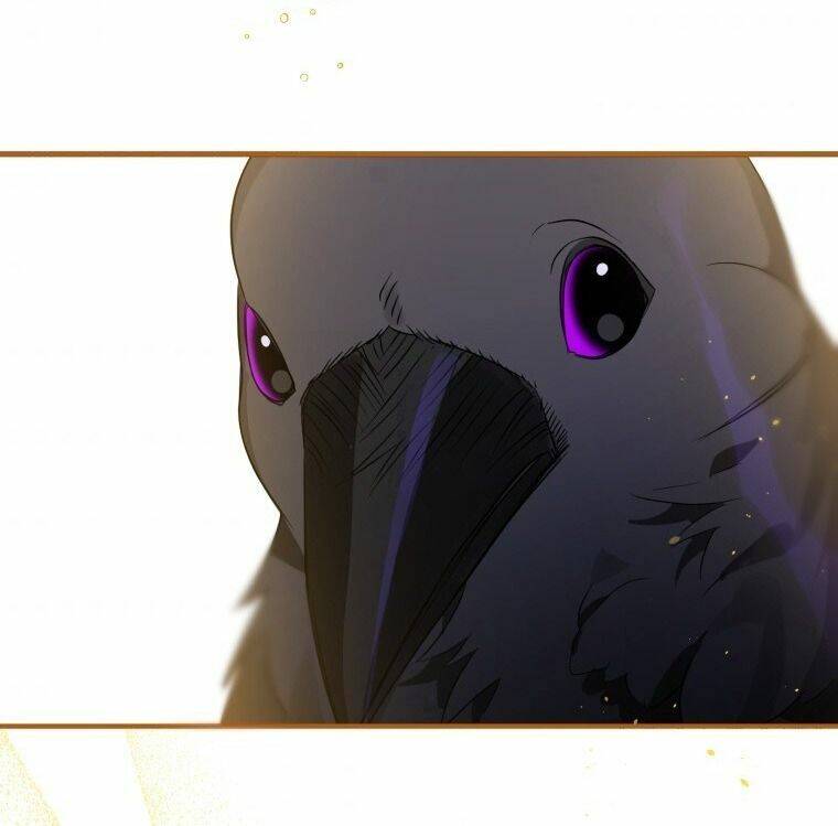 Bỗng Nhiên Tôi Trở Thành Quạ Đen!! Chapter 6 - 35