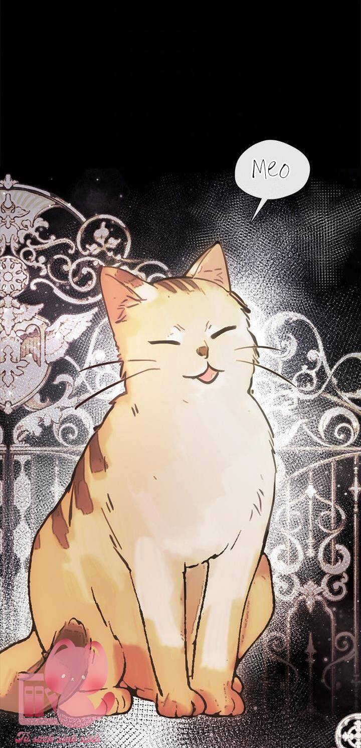 Thành Viên Trong Gia Đình Phát Cuồng Vì Tôi Chapter 48 - 7