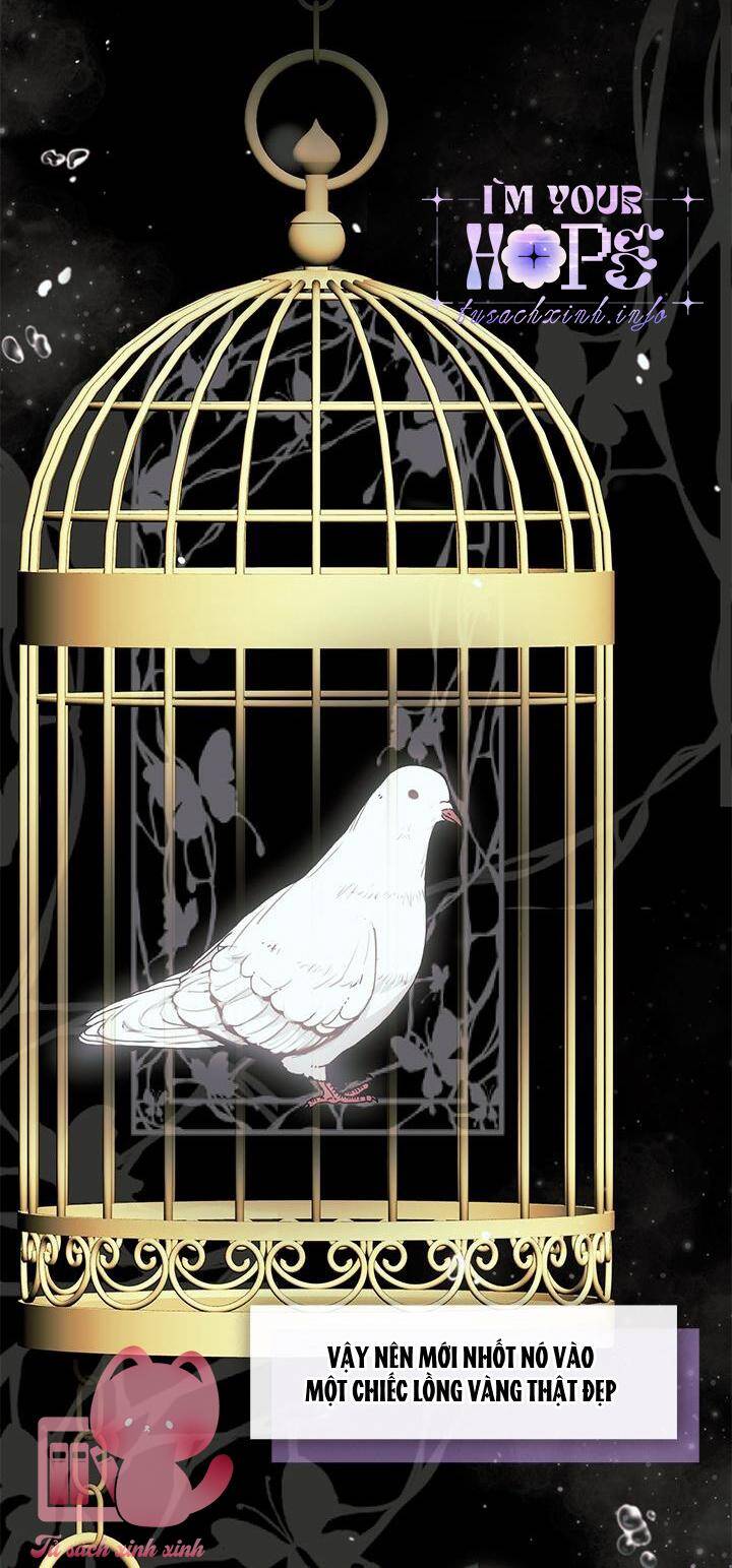 Thành Viên Trong Gia Đình Phát Cuồng Vì Tôi Chapter 57 - 21
