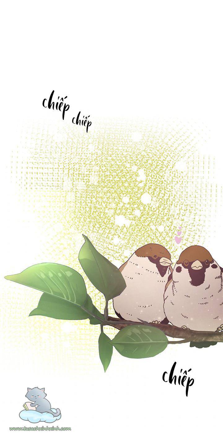 Thành Viên Trong Gia Đình Phát Cuồng Vì Tôi Chapter 14 - 56