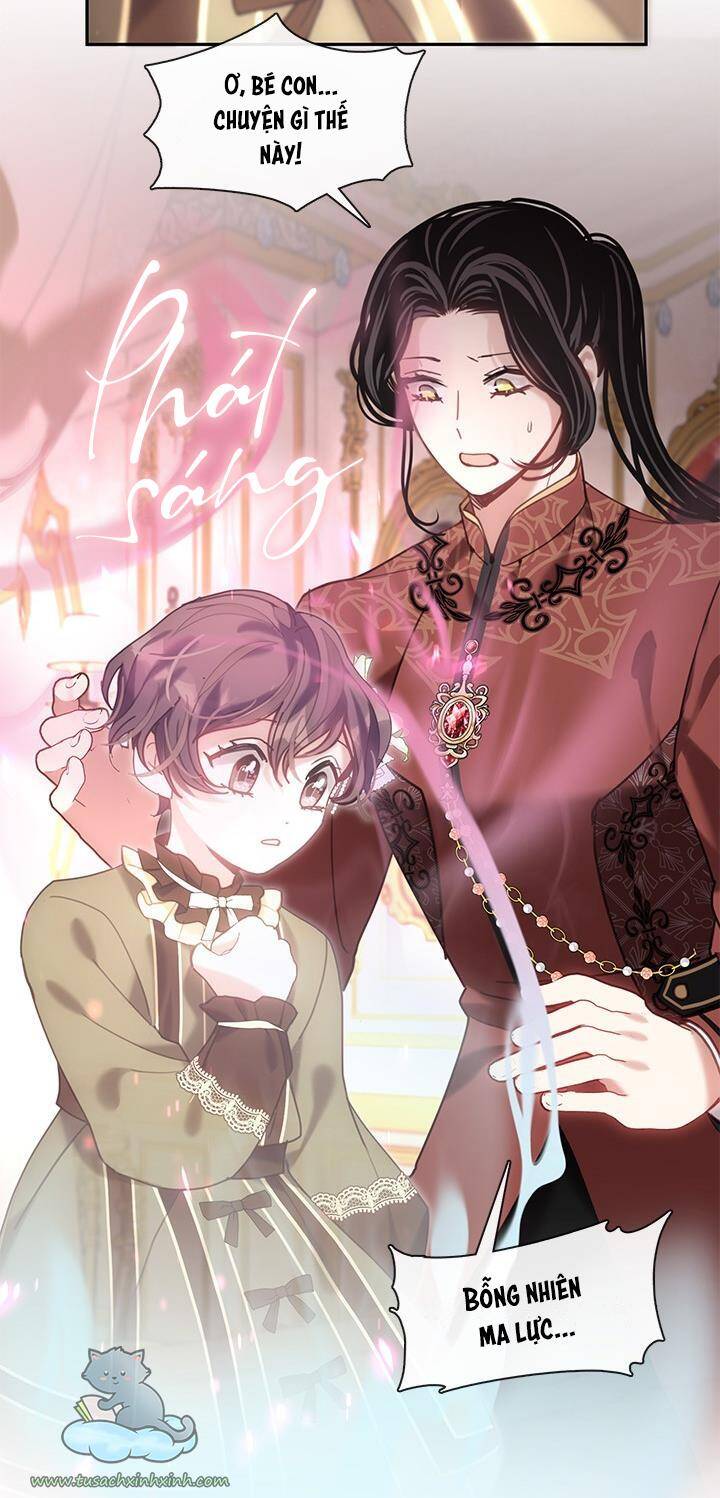 Thành Viên Trong Gia Đình Phát Cuồng Vì Tôi Chapter 24 - 63