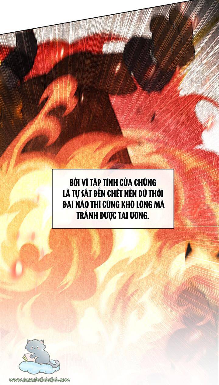 Thành Viên Trong Gia Đình Phát Cuồng Vì Tôi Chapter 34 - 7