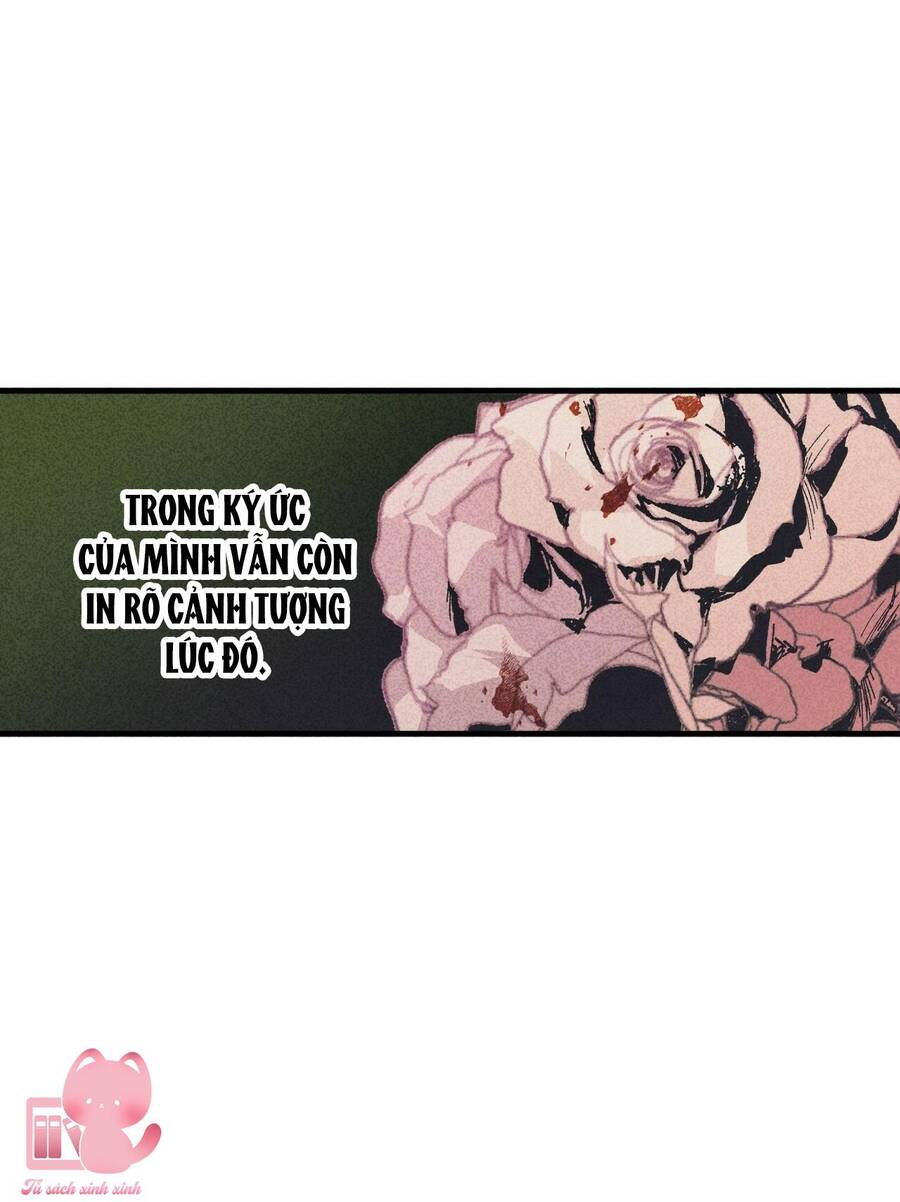 Đảo Phù Thủy Chapter 11 - 49