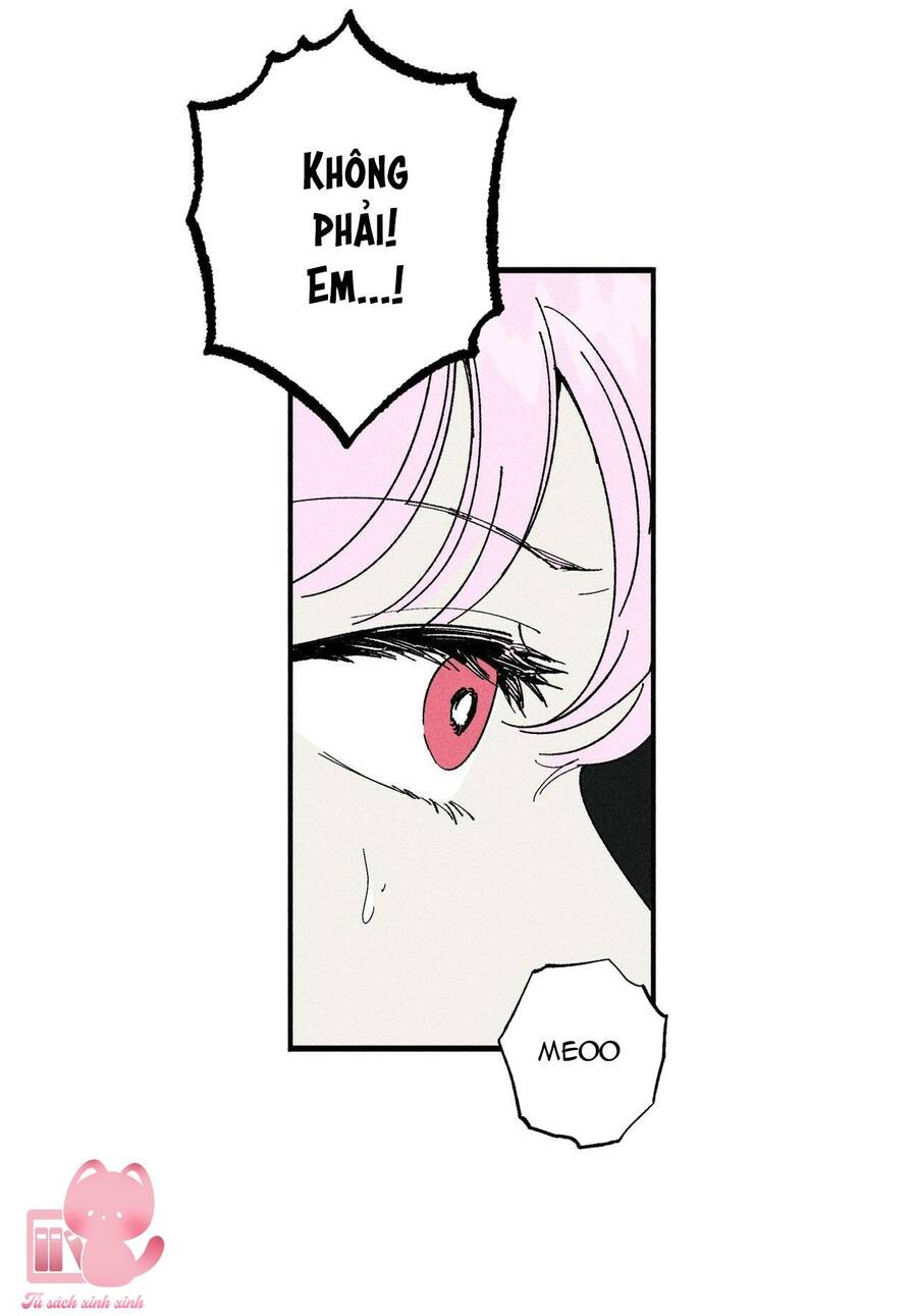 Đảo Phù Thủy Chapter 11 - 7