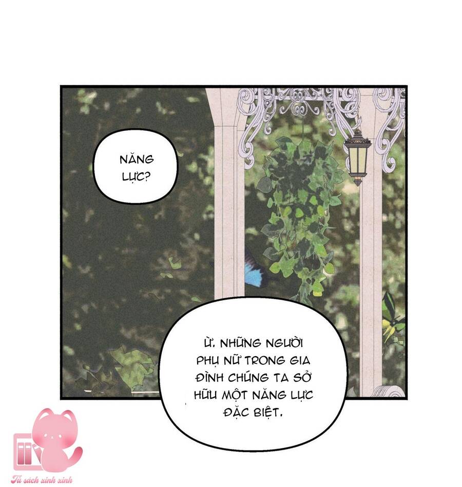 Đảo Phù Thủy Chapter 13 - 12